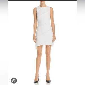 Diagonal Seamed Dress- Carpenter White